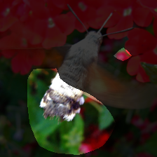 layer4-954