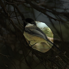 layer4-566