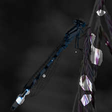 layer3-925