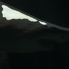 layer1-118