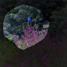 layer4-1379