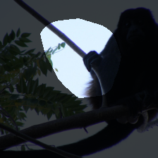 layer4-447