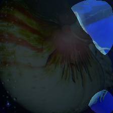 layer4-1331