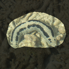 layer4-1754