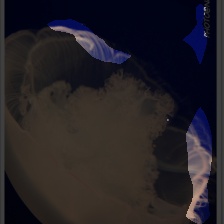 layer3-896
