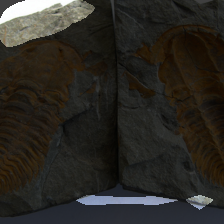 layer3-619