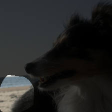 layer4-2034