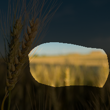 layer4-2034