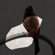 layer4-461