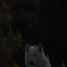 layer1-182
