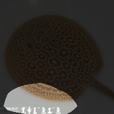 layer4-1559