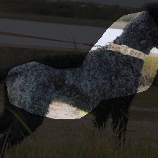 layer4-1304
