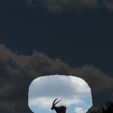 layer4-1717