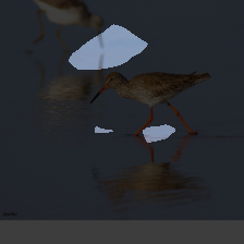 layer3-377