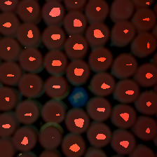 layer2-228