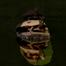 layer4-1556