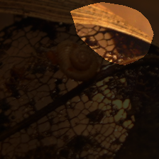 layer4-1731