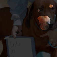 layer3-6