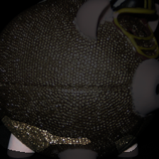 layer3-661