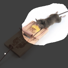 layer4-1483
