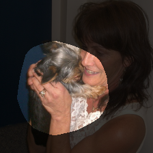 layer4-236
