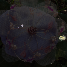 layer2-440