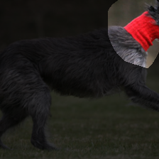 layer4-184