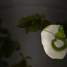 layer4-811