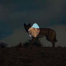 layer3-522