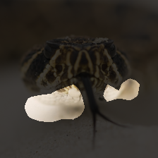 layer3-39