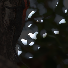 layer1-86