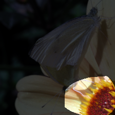 layer4-649