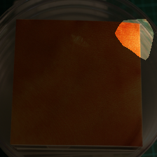 layer4-1352