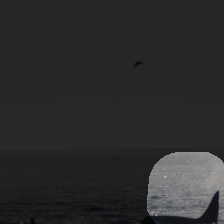 layer4-1341
