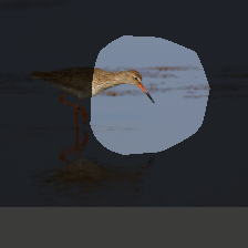 layer4-519
