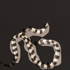 layer3-943