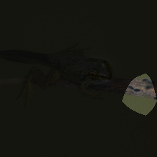 layer4-764