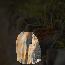 layer4-1849