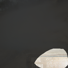 layer4-427