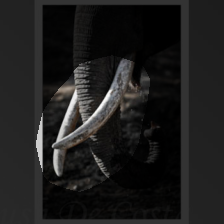 layer4-1453