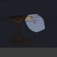 layer4-269