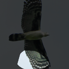 layer4-1579