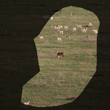 layer4-1970