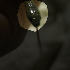 layer4-1591