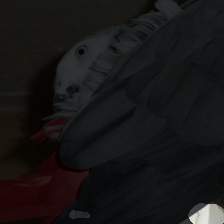 layer3-819