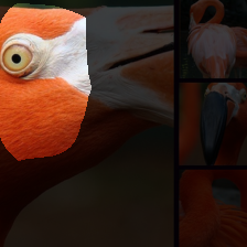 layer4-1437