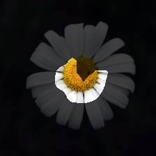 layer3-345