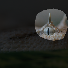 layer4-1056