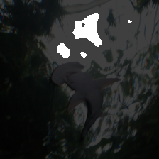layer1-77