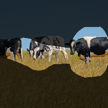layer4-1064